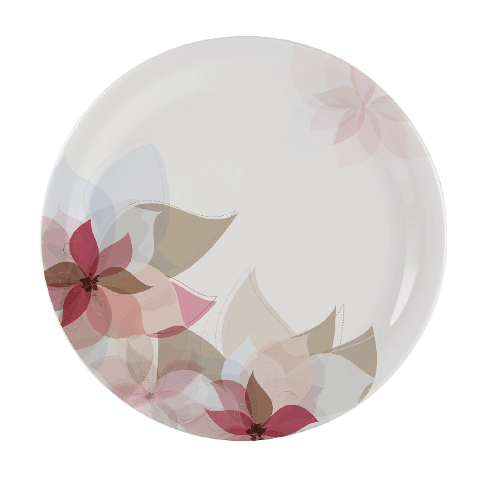 Set Of 6 Dinner Plates