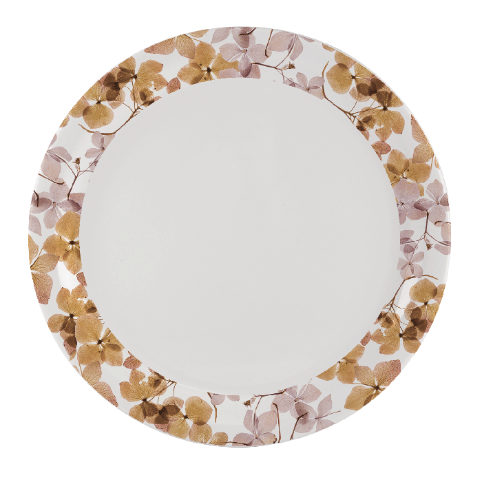 Set Of 6 Dinner Plates