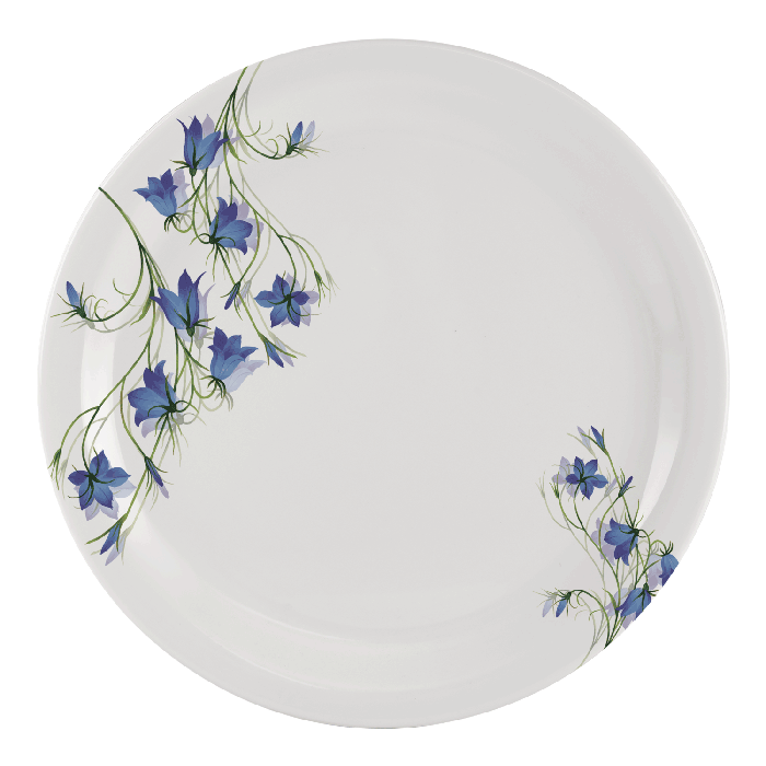 Set Of 6 Dinner Plates