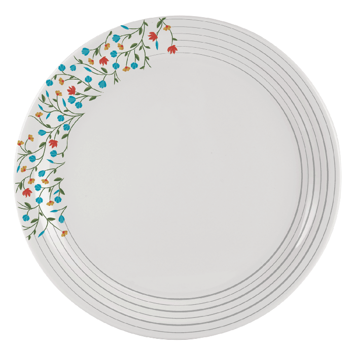 Set Of 6 Dinner Plates