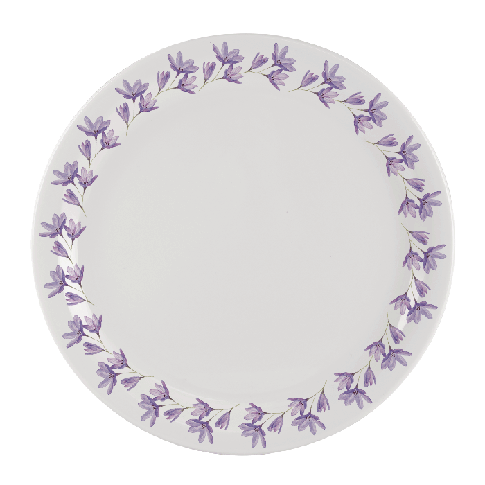 Set Of 6 Dinner Plates