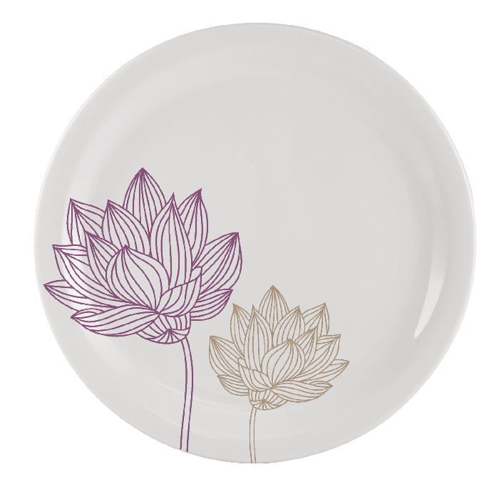 Set Of 6 Dinner Plates