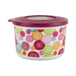 Maxfresh Deco Container