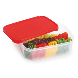 Maxfresh Freeze Container
