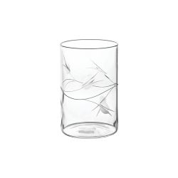 Cello D'Ziner Roma Borosilicate Tumbler Arc Design Glass Set of 6 290 ml Clear