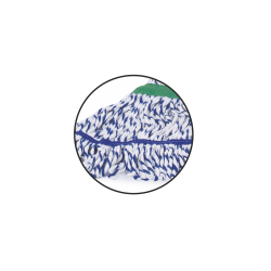 Looped Cotton Refill