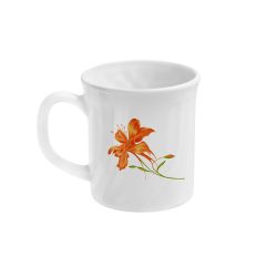Magna Orange Lilly