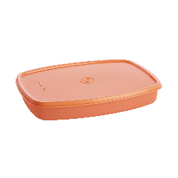 Maxfresh Slimy Lunch Box