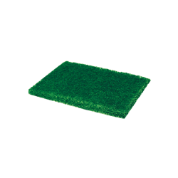 Scrub Pad (4 X 5)