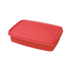 Maxfresh Sleek Container